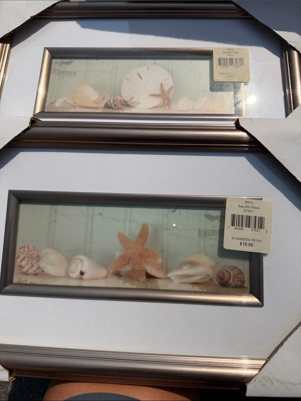 Coastal Shell Wall Art Panel in Silver by